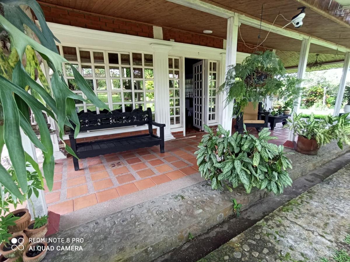 Villa Monica Montenegro Dış mekan fotoğraf