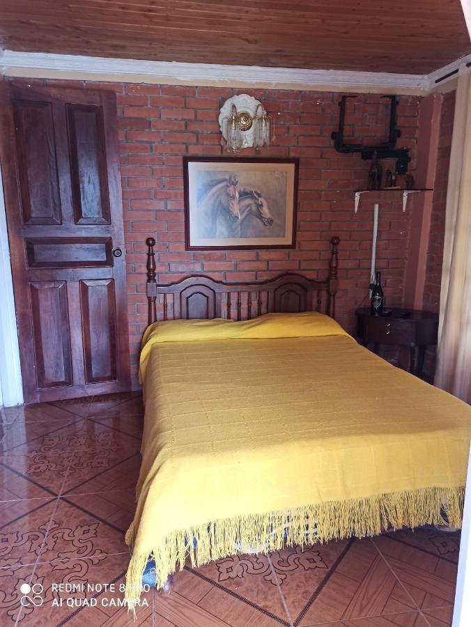 Villa Monica Montenegro Dış mekan fotoğraf