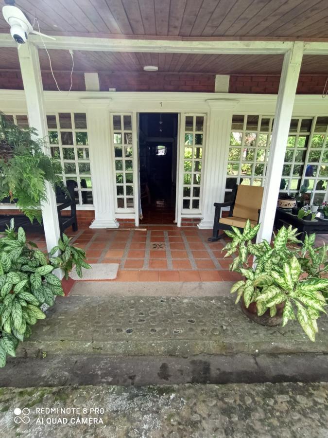Villa Monica Montenegro Dış mekan fotoğraf