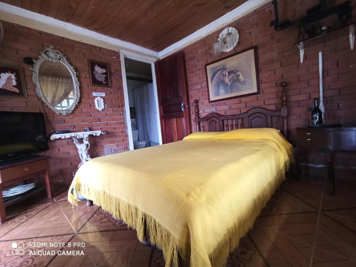 Villa Monica Montenegro Dış mekan fotoğraf