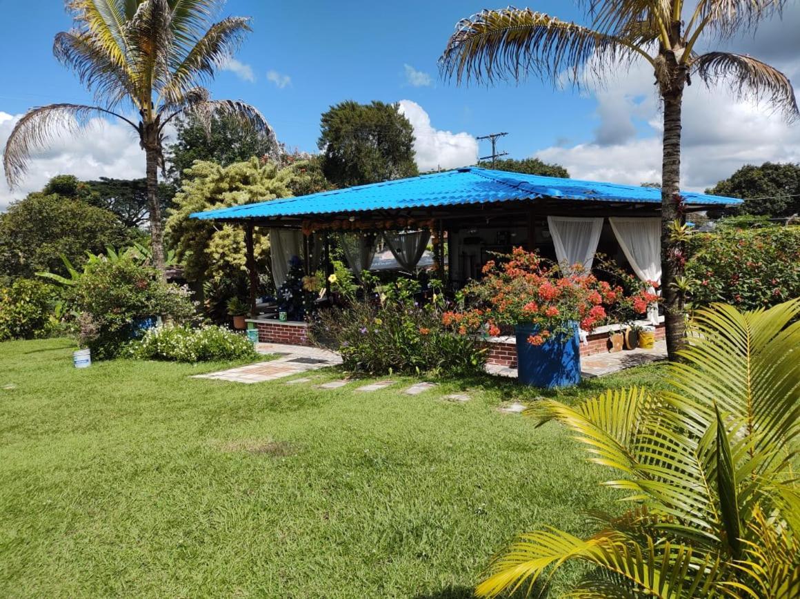 Villa Monica Montenegro Dış mekan fotoğraf