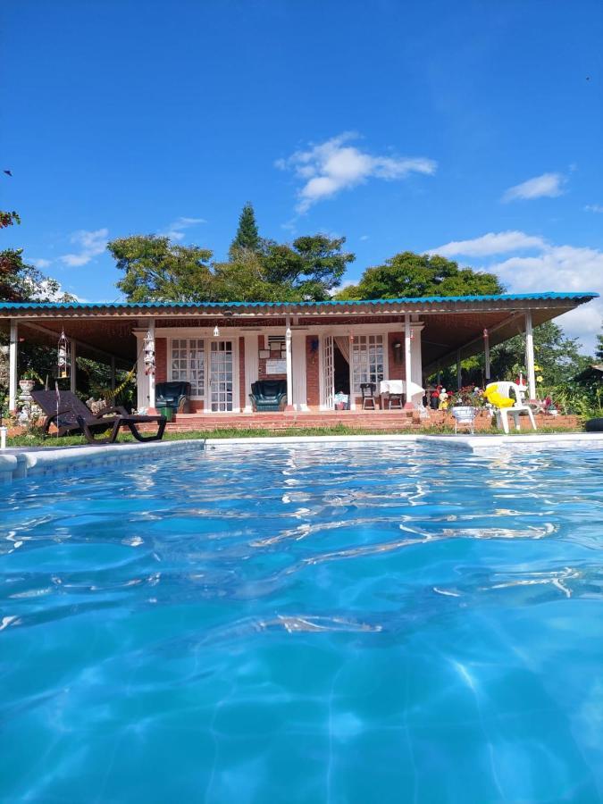 Villa Monica Montenegro Dış mekan fotoğraf